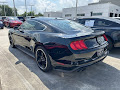 2019 Ford Mustang Bullitt