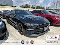 2019 Ford Mustang Bullitt