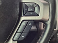 2020 Ford Super Duty F-250 SRW Platinum