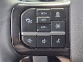 2024 Ford Super Duty F-250 SRW Platinum